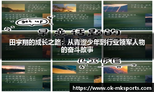 mk体育官网