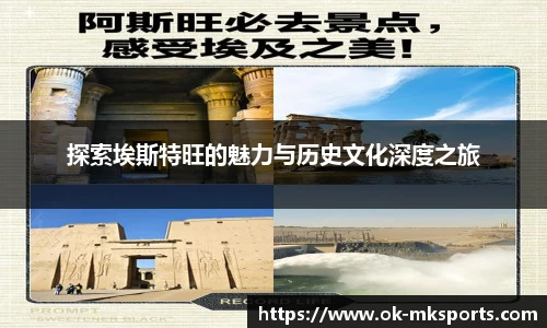 mk体育官网